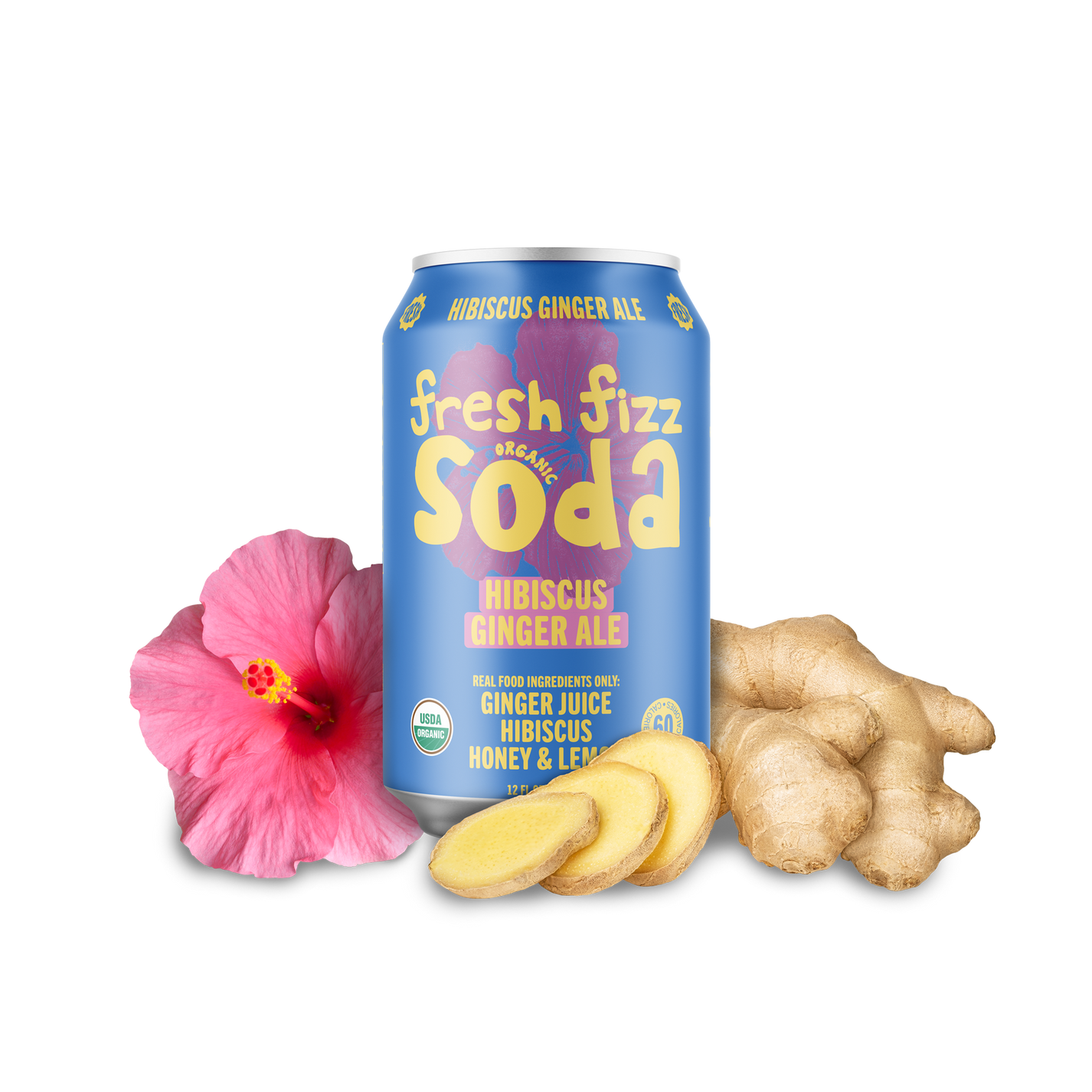 Hibiscus Ginger Ale (12Pack) Fresh Fizz Sodas