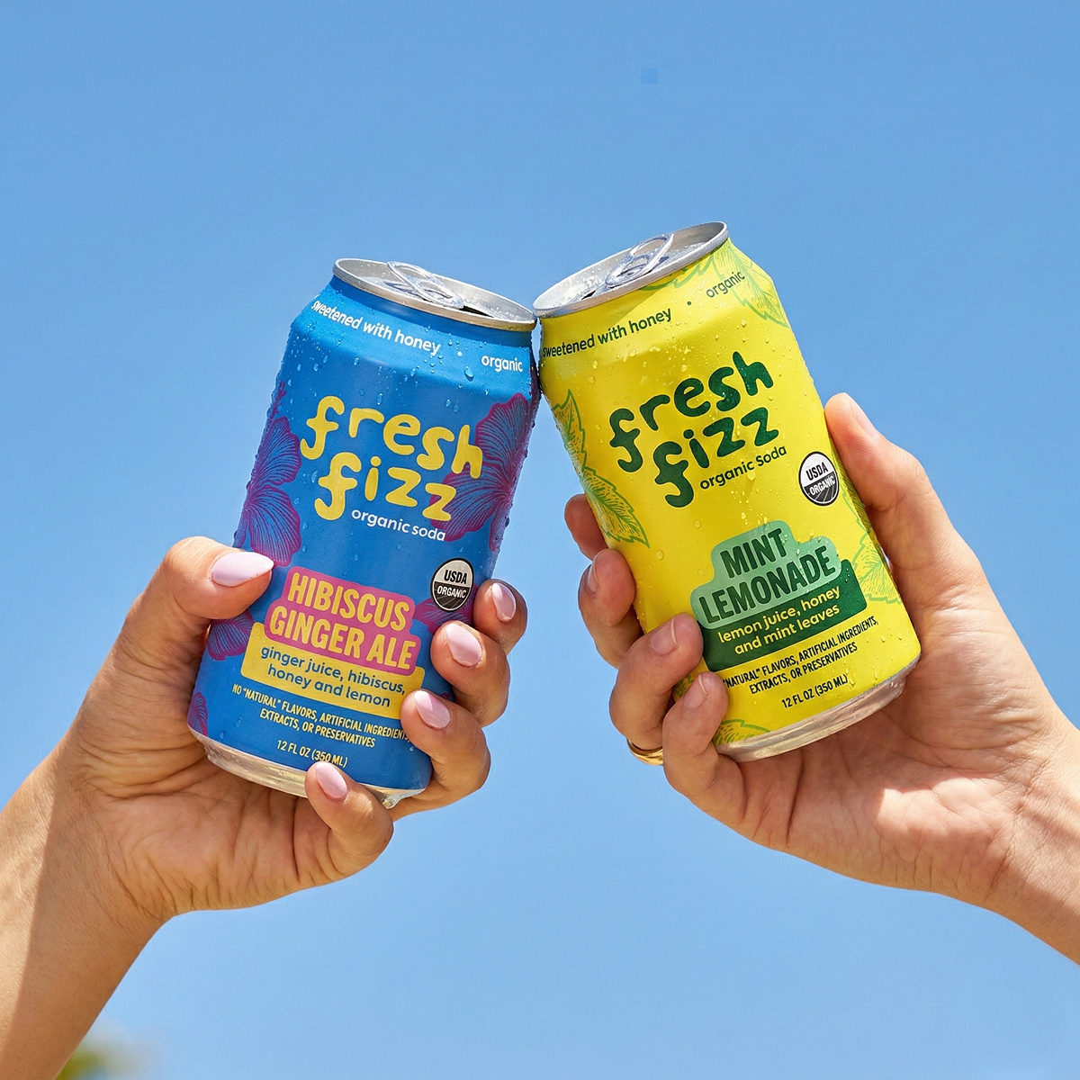Sample Pack - Hibiscus Ginger Ale, Sparkling Mint Lemonade Sample Pack - Hibiscus Ginger Ale, Sparkling Mint Lemonade