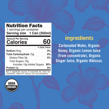 Hibiscus Ginger Ale (12-Pack)